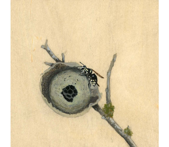 "Wasp's Nest" by Kristen Etmund
